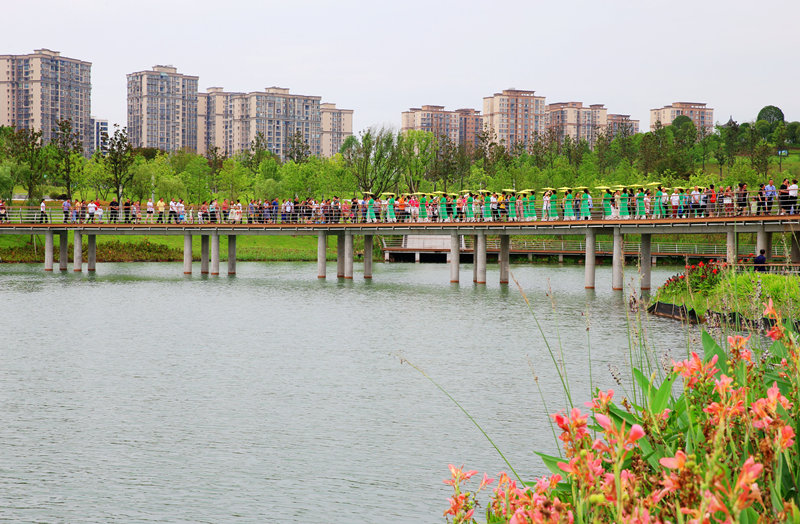 墊江縣旗袍協(xié)會在三合湖濕地公園橋上走秀。黃亞輝攝