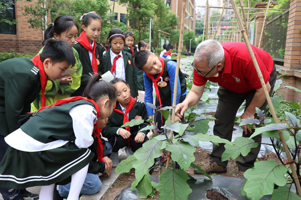 有蔬菜種植經(jīng)驗(yàn)的能人進(jìn)校帶領(lǐng)孩子們開(kāi)展勞動(dòng)教育。江津區(qū)教委供圖