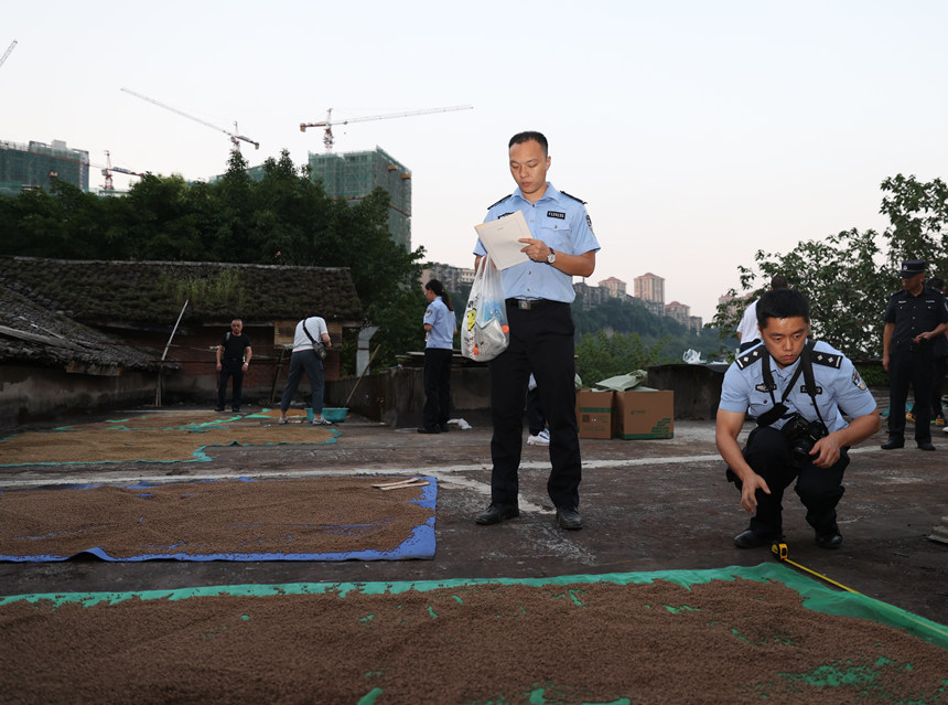 簡(jiǎn)易黑作坊生產(chǎn)出的“藥丸”放在戶外晾曬。兩江新區(qū)警方供圖