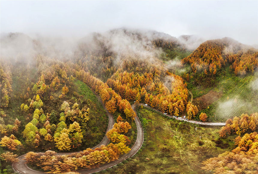 巫山梨子坪秋景。陳光國攝