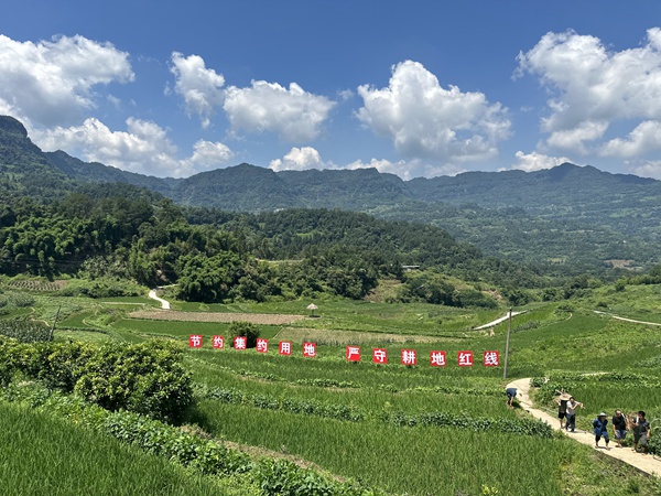 江津區(qū)蔡家鎮(zhèn)福德村整治后的耕地連成片。重慶市規(guī)劃和自然資源局供圖