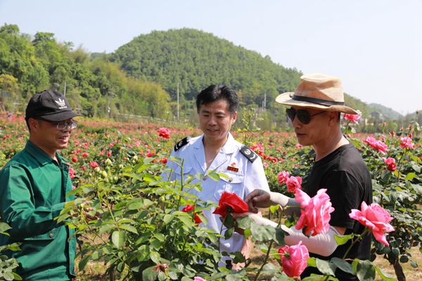 炎炎夏日，沙坪壩區(qū)稅務(wù)人員走訪花農(nóng)，了解企業(yè)經(jīng)營狀況，提供涉稅服務(wù)。陳賽亞攝