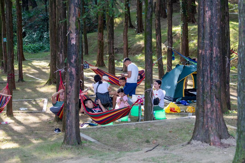 游客在森林公園里露營享受“清涼一夏”。瞿明斌攝