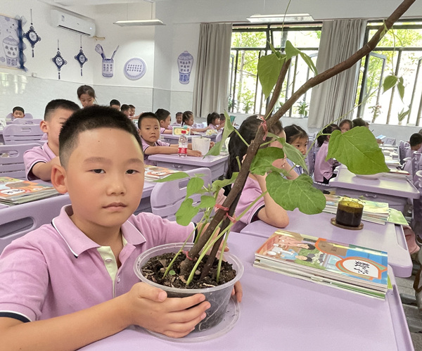 躥得極高的花豆幼苗。晏紅霞攝