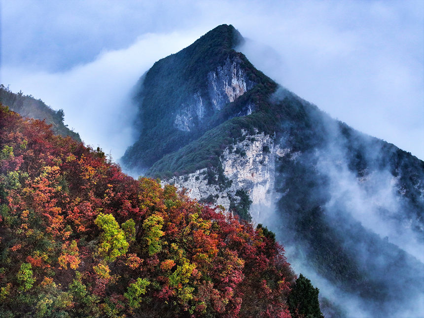 瞿塘峽岸邊的紅葉。王正坤攝