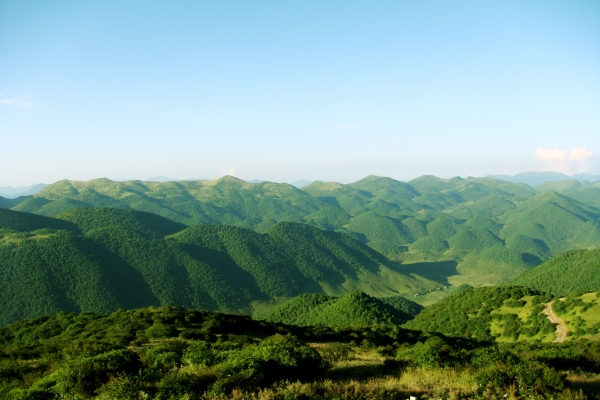 陰條嶺國家自然保護區(qū)。巫溪縣林業(yè)局供圖