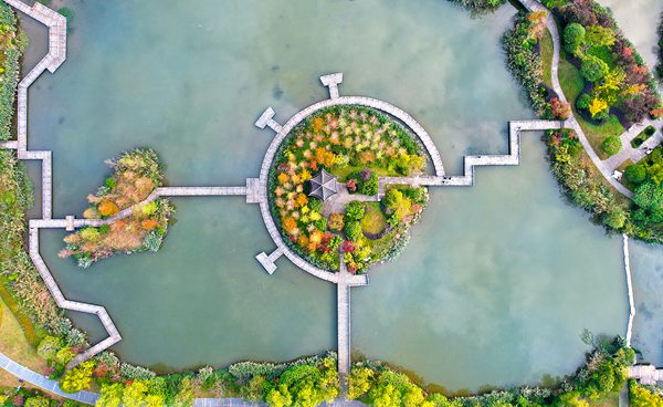 雙桂湖國(guó)家濕地公園小微濕地景觀層林盡染。向成國(guó)攝