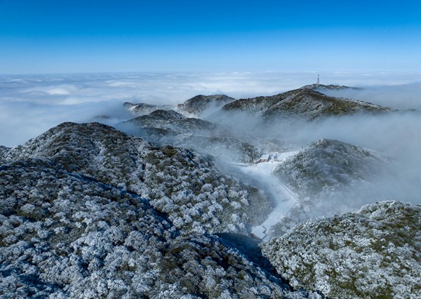 金佛山雪景。受訪單位供圖