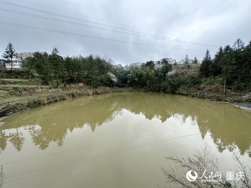 									跨省聯(lián)治讓碧水漾山塘					受冷空氣影響，重慶高海拔地區(qū)飄起了雪花。2月23日上午，家住重慶市江津區(qū)柏林鎮(zhèn)東勝村的村民李長(zhǎng)智推開窗，欣賞著漫天飛舞的雪景?！耙郧埃貏e是夏天，我家的窗戶時(shí)常是緊閉著的?！睘楹尾婚_窗？原來，李長(zhǎng)智家正門前分布著兩條露天污水溝。一到夏天，污水溝流經(jīng)的水量不僅大，還會(huì)散發(fā)著難聞的氣味。				