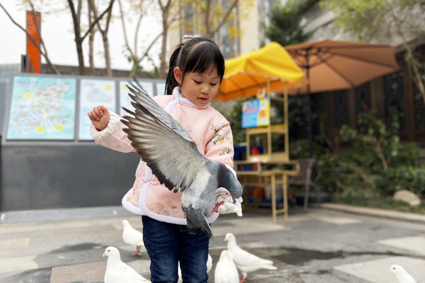 給小動物喂食。朝陽幼教集團(tuán)供圖