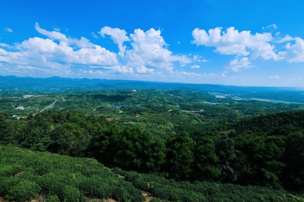 五寶鎮(zhèn)田園風(fēng)光。江北區(qū)委宣傳部供圖