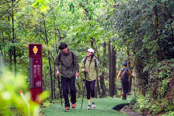 金佛山徒步。景區(qū)供圖