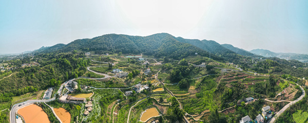 井池村“四好農(nóng)村公路”。魚嘴鎮(zhèn)供圖