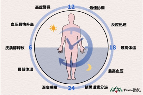 24小睡眠生理周期。重慶松山醫(yī)院供圖