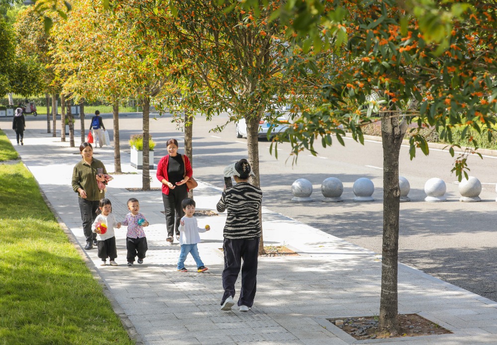 10月15日，墊江縣桂陽街道南陽公園，市民帶著孩子在桂花樹下拍照記錄。通訊員 龔長浩 攝