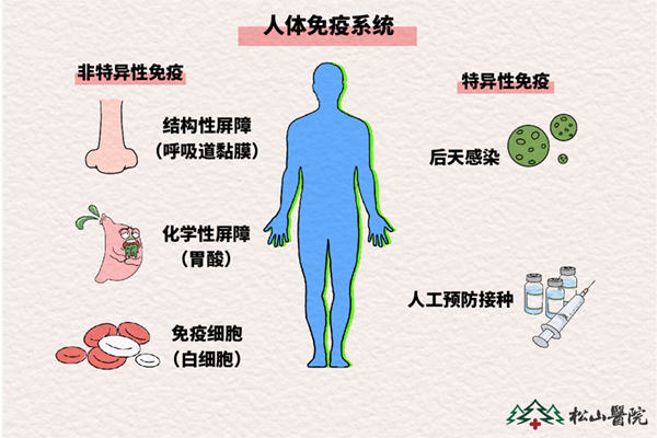 免疫力下降怎么辦？松山醫(yī)院：4個(gè)方式為免疫力“充電”